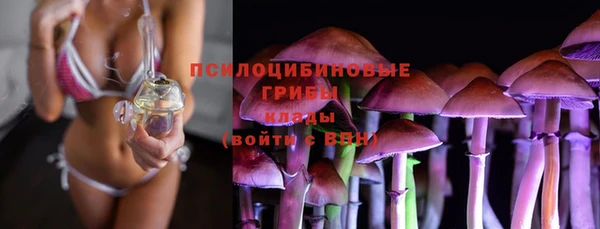 шишки Семикаракорск