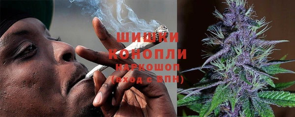 шишки Семикаракорск