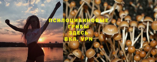 ALPHA PVP Арсеньев