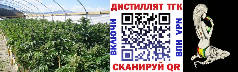 Дистиллят ТГК вейп Шагонар