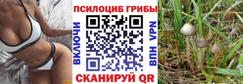 мега ONION  Шагонар  Псилоцибиновые грибы Psilocybe 